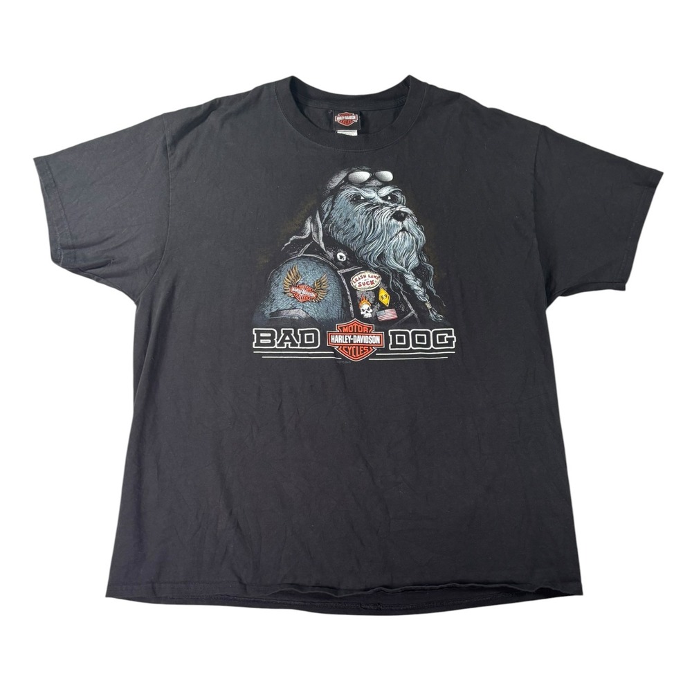 Harley Davidson Bad Dog Roanoke Valley Biker T-Shirt Black XL Hanes Beefy-T